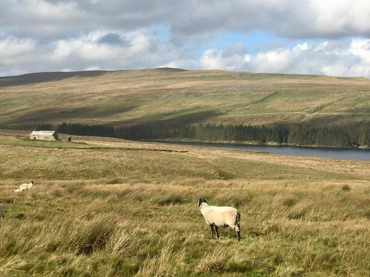 Weardale Cottage Saint Johns Chapel ภายนอก รูปภาพ